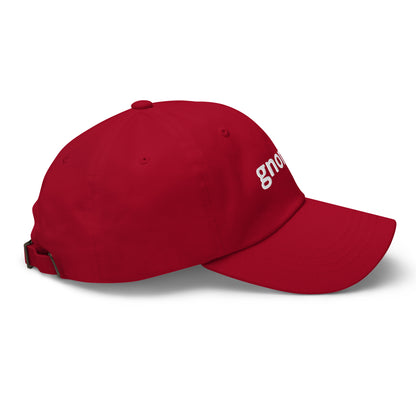 “Just Gnome” Dad hat